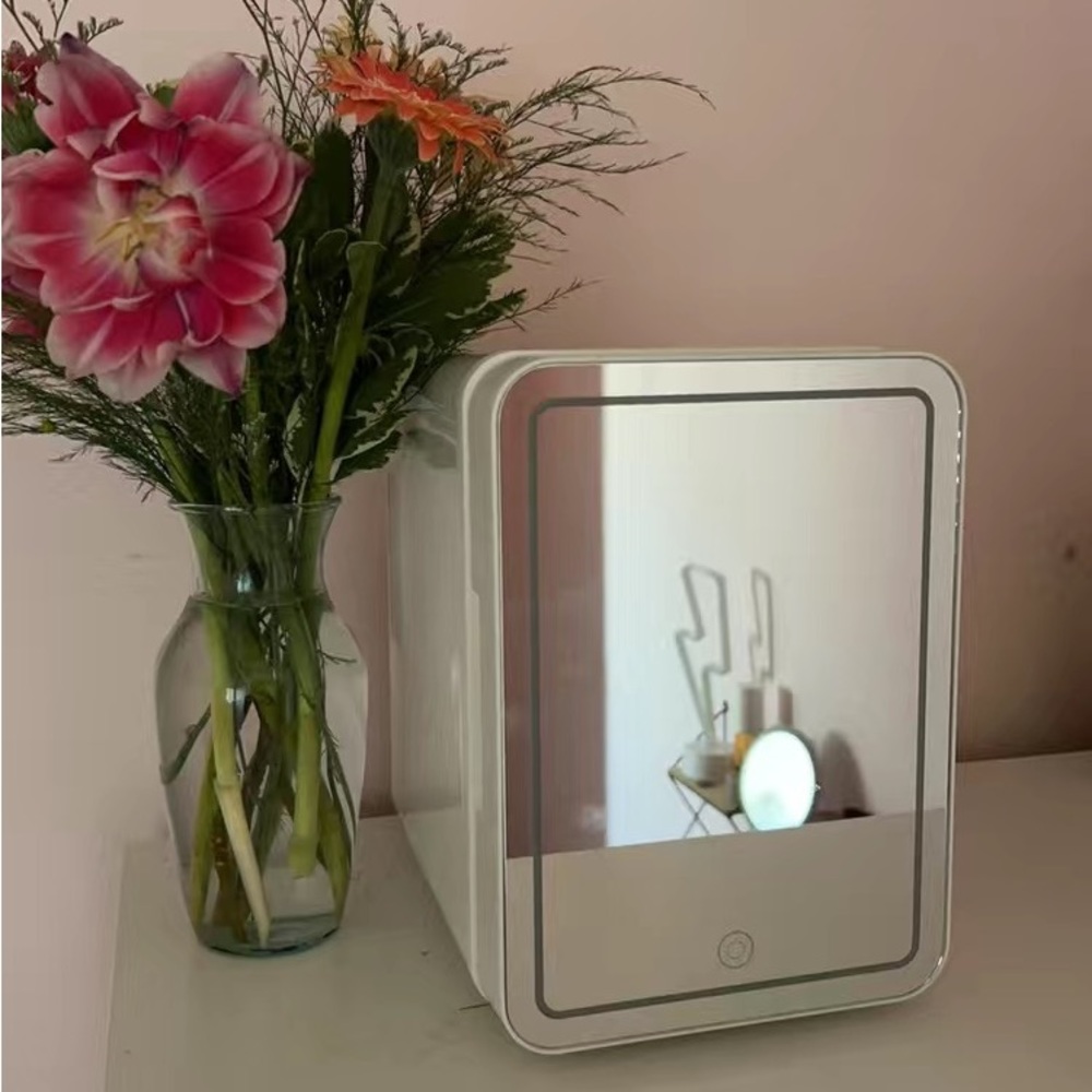 Small LED Light Skincare fridge / mini fridge